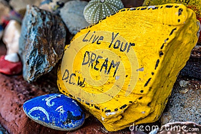 Live Your Dream