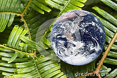 Living Planet Earth