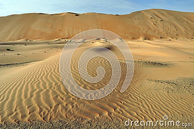 Liwa sand dunes & ripples