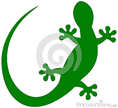 A lizard in green shadow