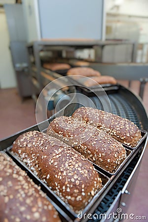 Loafs of bread in the factory