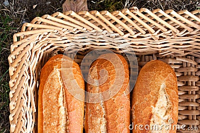 Loaves of French bread