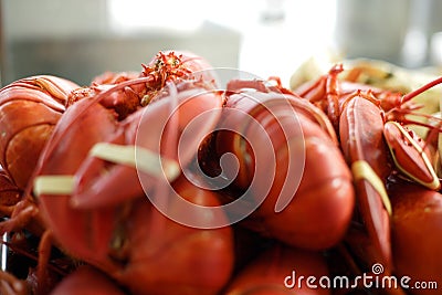 Lobster at Fisherman s Warf in San Francisco