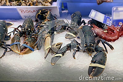 Lobsters in a fish shop