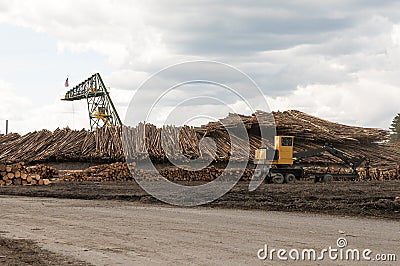  equipment-crane-used-to-move-wood-around-large-stack-wood-32817652.jpg