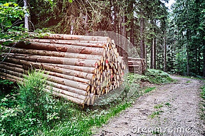 Log stacks along forest road