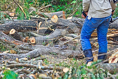 Logger man is cutting wood