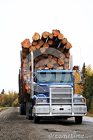 Logging truck