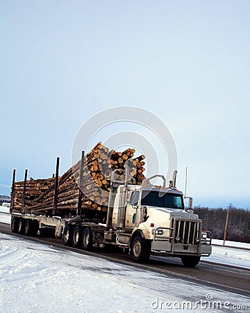 Logging truck snow