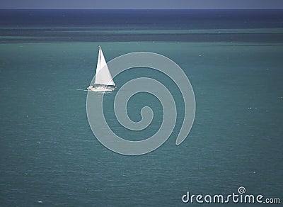 Lone Sailboat on the ocean