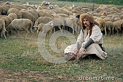 Lonely shepherd with sheep on green meadow
