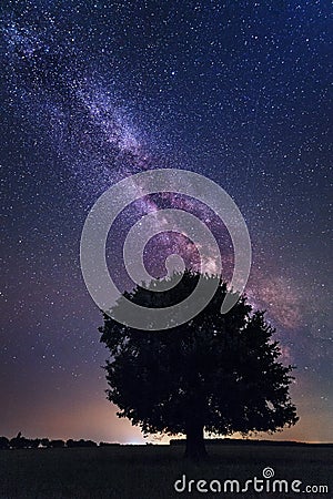 Lonely tree in the Milky Way