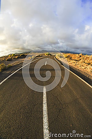 Long Empty Desert Road