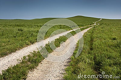 Long rural country road through tall grass pasture