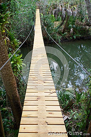 Long suspension walking bridge in tropics