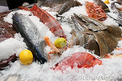 A lot of fresh saltwater fish