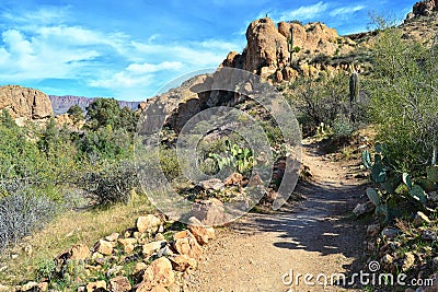 A Lovely Desert Path