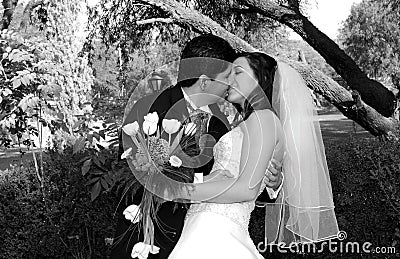 Lovely wedding kiss