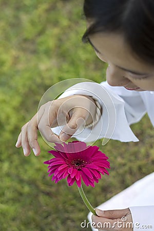 He Loves Me, He Loves Me Not Stock Images 