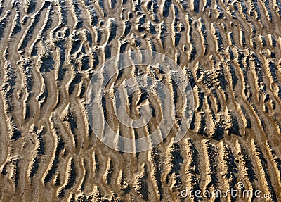 Low tide patterns far north queensland