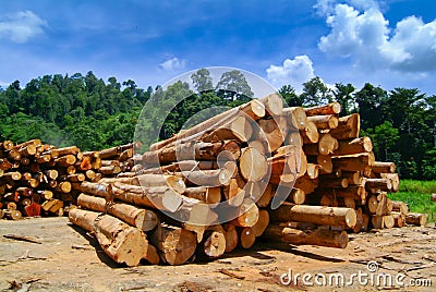 Lumber