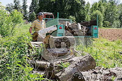 Lumberjack man load tree logs in tractor trailer