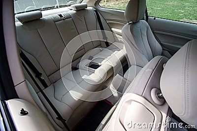 Luxury car skin interior