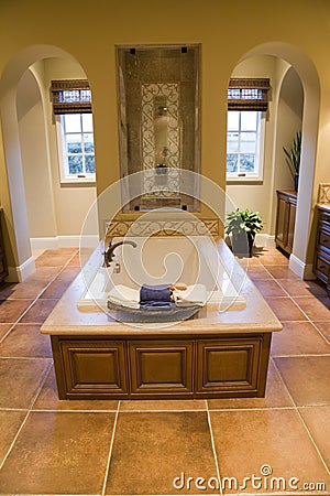 Luxury home bathroom.