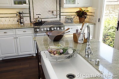 Luxury home kitchen