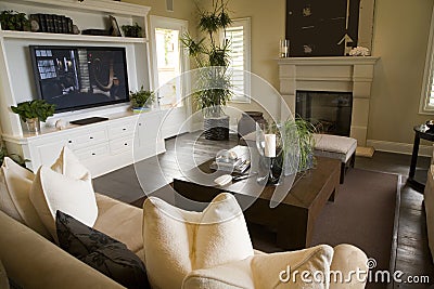Luxury home living room.