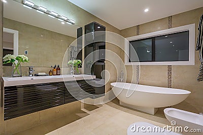 Luxury home washroom