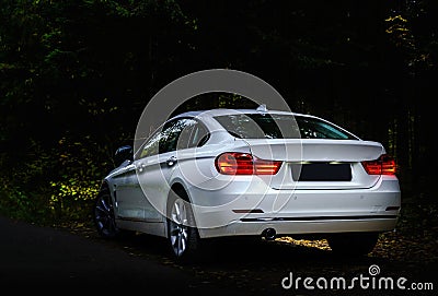 Luxury white car in the dark forest