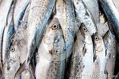 Mackerel in a wet market