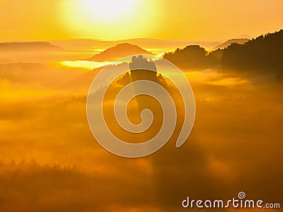 Magnificent fogy landscape , spring misty sunrise in a beautiful valley. Hills increased from fog, the fog is colored to gold