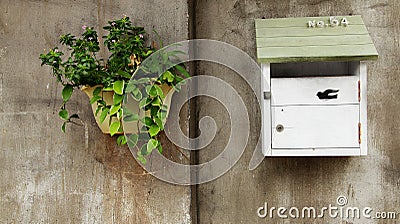 Mailbox and green plants on cement wall