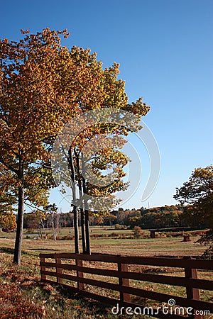 Maine field in fall