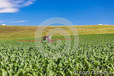 Crop Spraying Tractor Colors