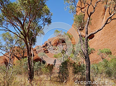 The Mala walk at Ayers rock