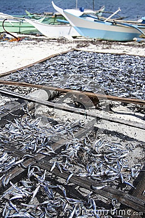  Dried Fish Fishing Boats Philippines Stock Photos - Image: 11998583
