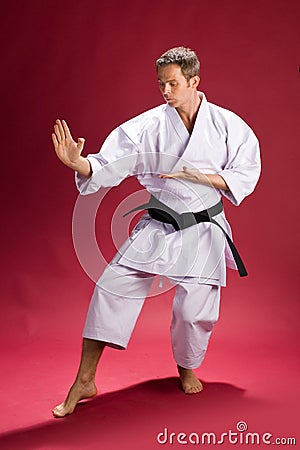 Male Karate Instructor