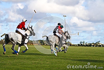 Male Polo Player