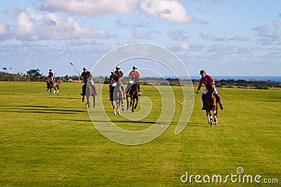 Male Polo Player