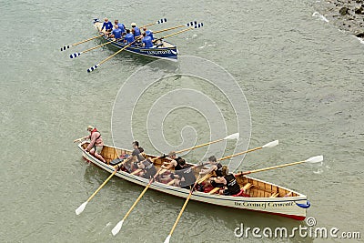 Male teams on rowing boats at Clovelly, Devon