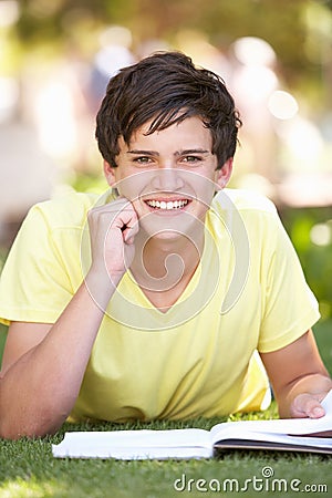 Male Teenage Student Studying In Park