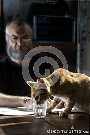 Man with beard and his cat