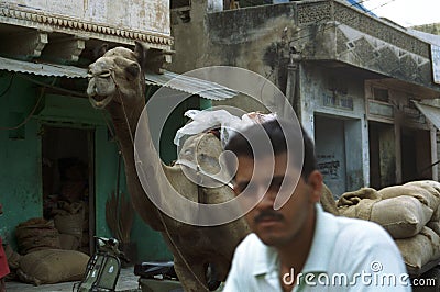 Man and camel in the streets of India