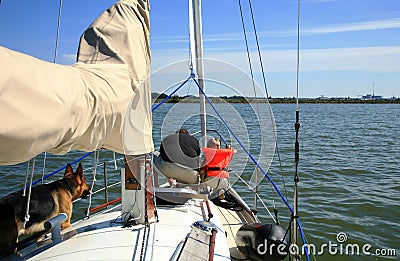 Man, child and dog on the yacht by summer