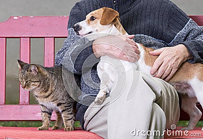 Man with dog and cat