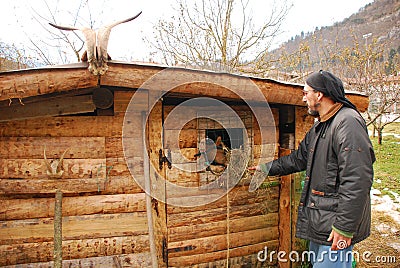 Man Feeding Goat