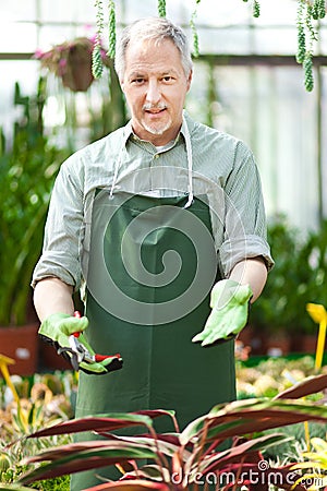 Man in a Greenhouse